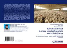 Buchcover von Palm Kernel Meal A cheap vegetable protein source in Pakistan