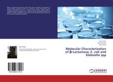 Bookcover of Molecular Characterization of β-Lactamase, E. coli and Klebsiella spp