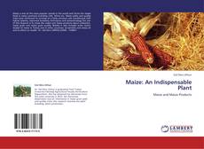 Maize: An Indispensable Plant kitap kapağı
