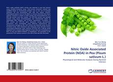 Buchcover von Nitric Oxide Associated Protein (NOA) in Pea (Pisum sativum L.)