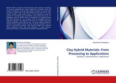 Buchcover von Clay Hybrid Materials: From Processing to Applications