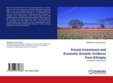 Buchcover von Private Investment and Economic Growth: Evidence from Ethiopia