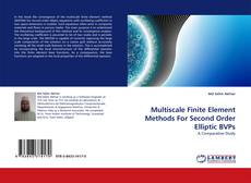 Bookcover of Multiscale Finite Element Methods For Second Order Elliptic BVPs