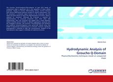 Hydrodynamic Analysis of Groucho Q-Domain的封面