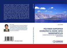 POLYMER-SUPPORTED HYDRATED Fe OXIDE (HFO) NANOPARTICLES的封面