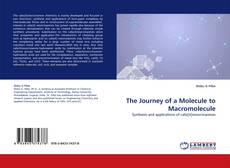 Buchcover von The Journey of a Molecule to Macromolecule