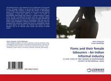 Capa do livro de Firms and their female labourers - An Indian Informal industry 