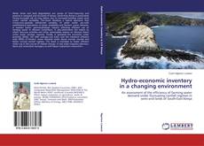 Copertina di Hydro-economic inventory in a changing environment