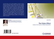 Buchcover von The Fisher Effect