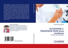 Bookcover of GLUTATHIONE S-TRANSFERASE FROM Hevea brasiliensis