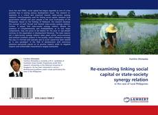 Buchcover von Re-examining linking social capital or state-society synergy relation