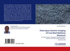 Buchcover von Time-lapse Seismic Imaging of Coal Bed Methane Reservoir