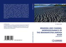 Buchcover von BRAIDING AND CHANNEL MORPHODYNAMICS OF THE BRAHMAPUTRA-JAMUNA RIVER