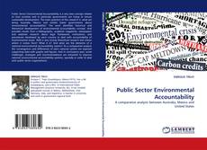 Buchcover von Public Sector Environmental Accountability