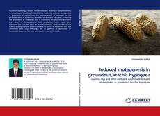 Copertina di Induced mutagenesis in groundnut,Arachis hypogaea