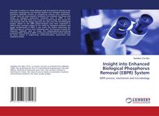 Insight into Enhanced Biological Phosphorus Removal (EBPR) System kitap kapağı