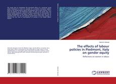 Buchcover von The effects of labour policies in Piedmont, Italy on gender equity