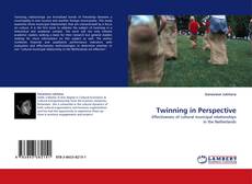 Capa do livro de Twinning in Perspective 