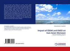 Buchcover von Impact of IODM and ENSO on East Asian Monsoon