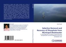 Copertina di Selective Removal and Recovery of Phosphate from Municipal Wastewater
