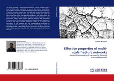 Effective properties of multi-scale fracture networks kitap kapağı