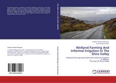 Buchcover von Wetland Farming And Informal Irrigation In The Shire Valley