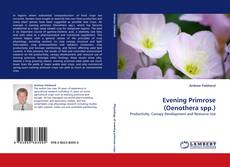 Bookcover of Evening Primrose (Oenothera spp.)