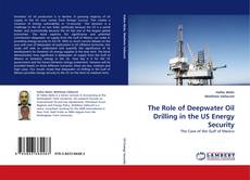 The Role of Deepwater Oil Drilling in the US Energy Security的封面