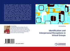 Identification and Interpersonal Perceptions in Virtual Groups kitap kapağı