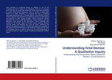 Bookcover of Understanding Fetal Demise: A Qualitative Inquiry