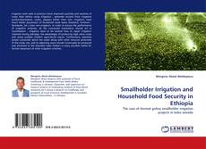 Smallholder Irrigation and Household Food Security in Ethiopia kitap kapağı