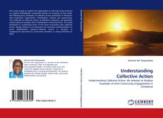 Capa do livro de Understanding Collective Action 