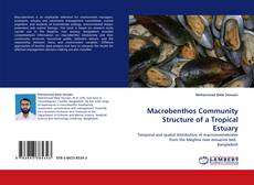 Buchcover von Macrobenthos Community Structure of a Tropical Estuary