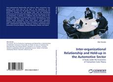 Inter-organizational Relationship and Hold-up in the Automotive Sector kitap kapağı