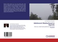 Buchcover von Adolescent Motherhood in Uganda