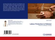 Buchcover von Labour Protection in Pakistan