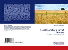 Couverture de Social Capital As a Survial Strategy