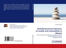 Capa do livro de Multidimensional indicators of wealth and vulnerability in Albania 