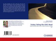 Capa do livro de Turkey Taking the CEEC Road 