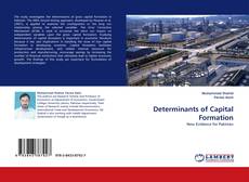 Capa do livro de Determinants of Capital Formation 