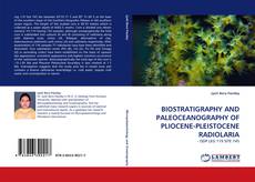 Capa do livro de BIOSTRATIGRAPHY AND PALEOCEANOGRAPHY OF PLIOCENE-PLEISTOCENE RADIOLARIA 