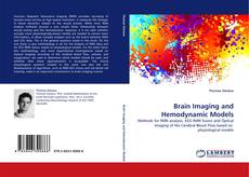 Brain Imaging and Hemodynamic Models的封面