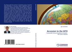 Accession to the WTO的封面