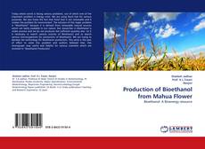 Production of Bioethanol from Mahua Flower的封面