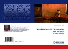 Buchcover von Rural Household Endowment and Poverty