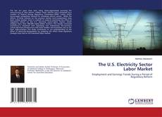 The U.S. Electricity Sector Labor Market kitap kapağı