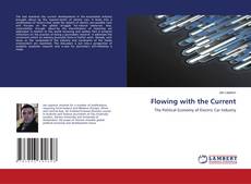 Bookcover of Flowing with the Current