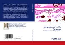 Capa do livro de Jurisprudence for the Perplexed 