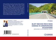 Buchcover von BLAST INDUCED ROCK MASS DAMAGE IN UNDERGROUND EXCAVATIONS