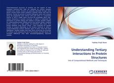 Capa do livro de Understanding Tertiary Interactions In Protein Structures 